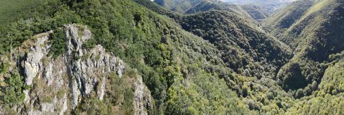 Gorges de Courgoul [02-07-2022](1007).jpg